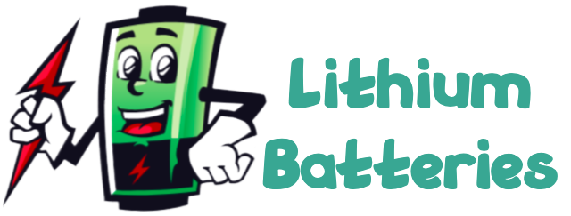 Lithium Batteries For EV Cycle Bike Scooter Sales Maintenance & Service Point